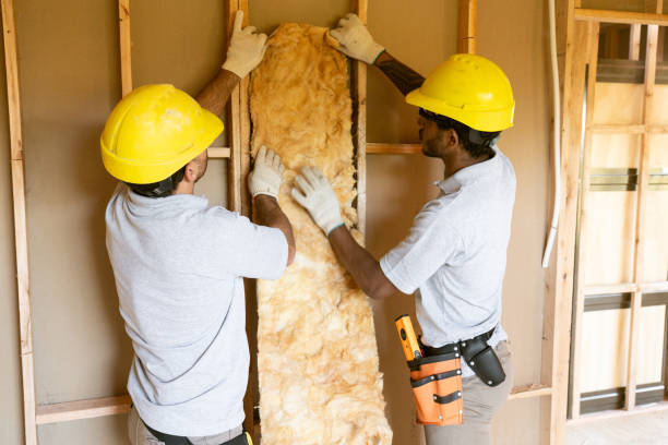 Best Insulation Removal Services  in Virginia Gardens, FL